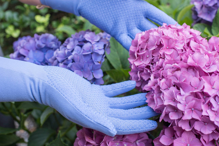 Foxgloves - Gardening Gloves Collection