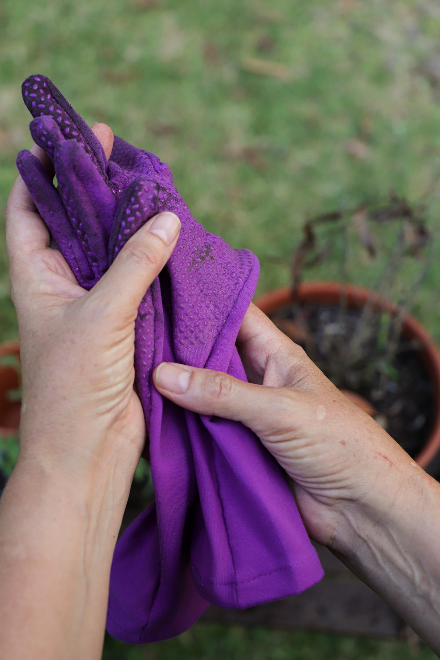 Hands holding Iris Foxgloves
