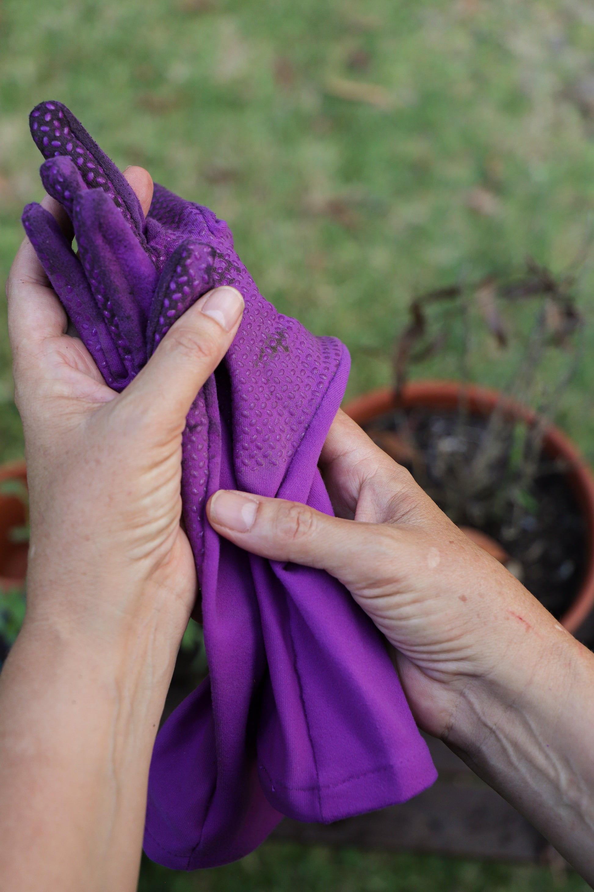 Hands holding Iris Foxgloves